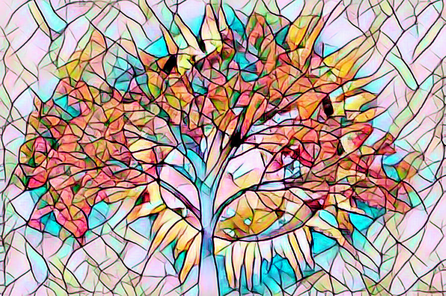 Stained Glass Tree in the Sun Photograph by Debra and Dave Vanderlaan