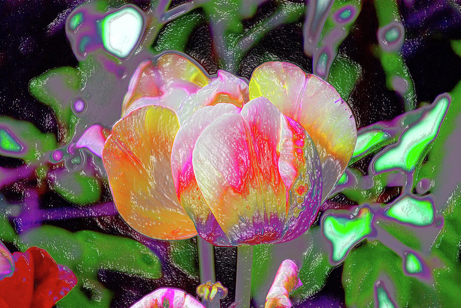 Stained Glass Tulip Digital Art by Don Wright