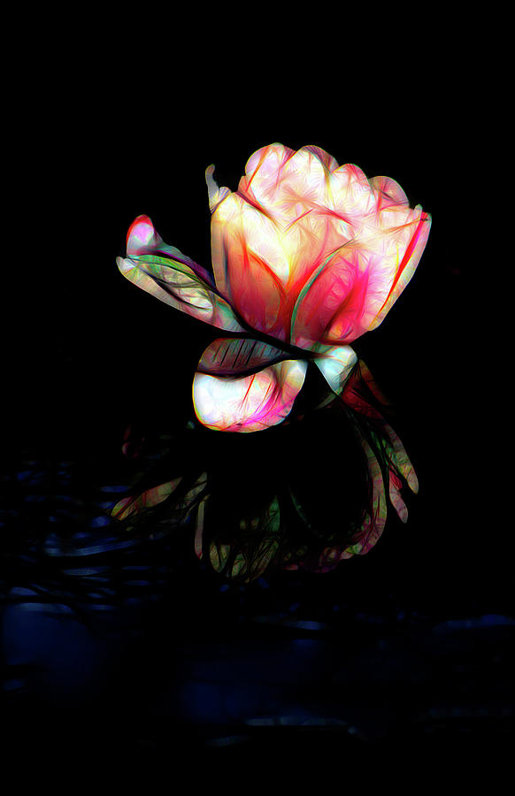 Stained Glass Waterlily Mixed Media by Rosalie Scanlon