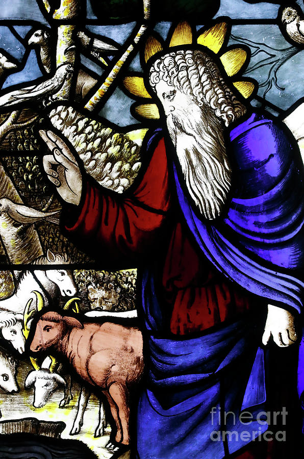 Stained glass window, Creation of the animals, God The Father  Glass Art by European School