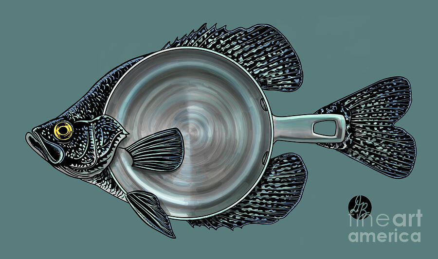 Panfish Digital Art - Stainless Steel Crappie by David Burgess