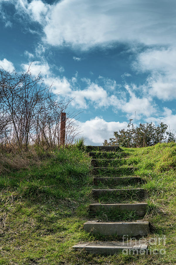 Stair Path At Iverson Spit On Camano Island, Washington On A Win Photograph
