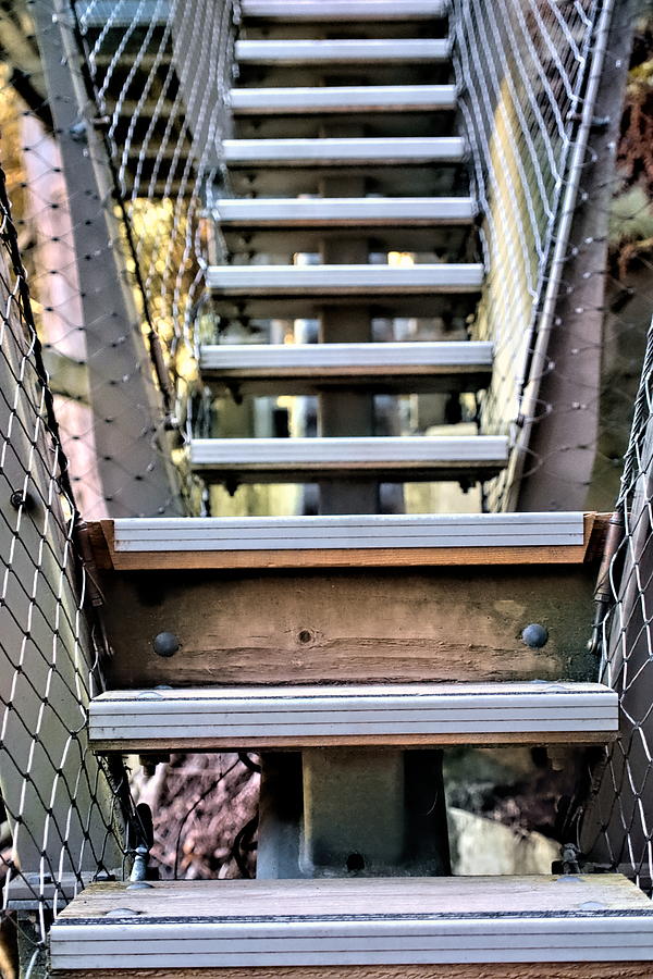 Staircase Caged Pathway Photograph by Ian McAdie