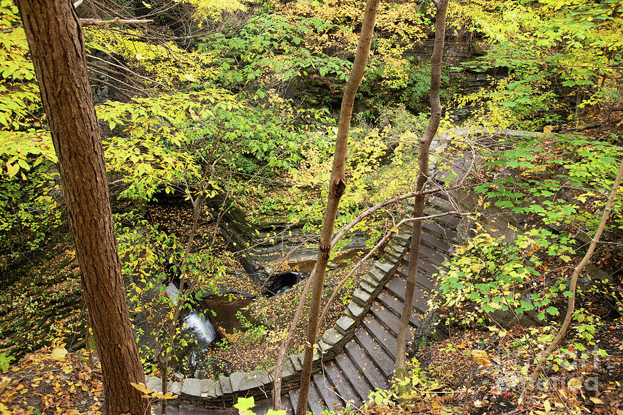 Stairs at Watkins Glen in Autumn Photograph by Jeannette Hunt