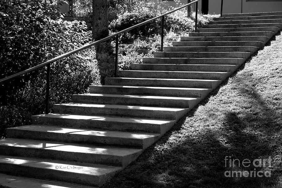 Stairs in the Park Photograph by Kae Cheatham