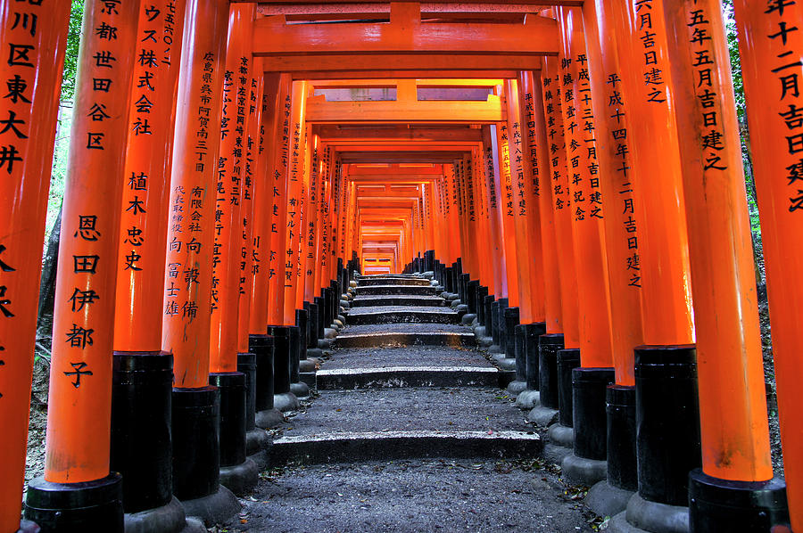 Stairs of Fushimi Inari Taisha Photograph by Brian Kamprath