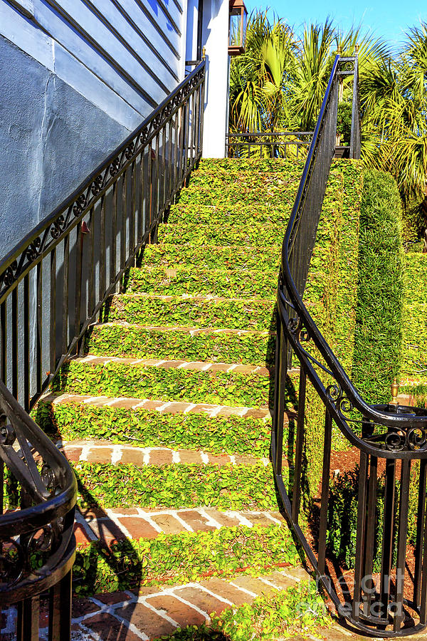 Stairs of Ivy in Charleston Photograph by John Rizzuto
