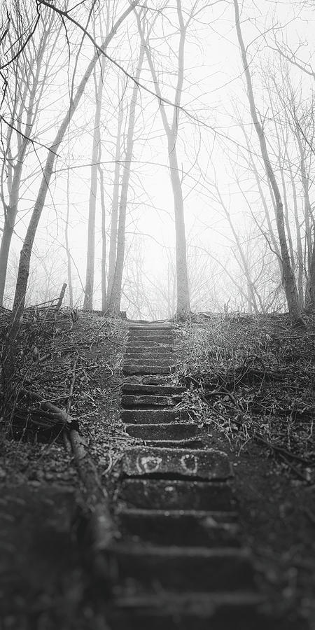Stairs Of Loneliness Photograph