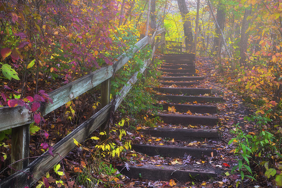 Stairway to Autumn Photograph by Darren White