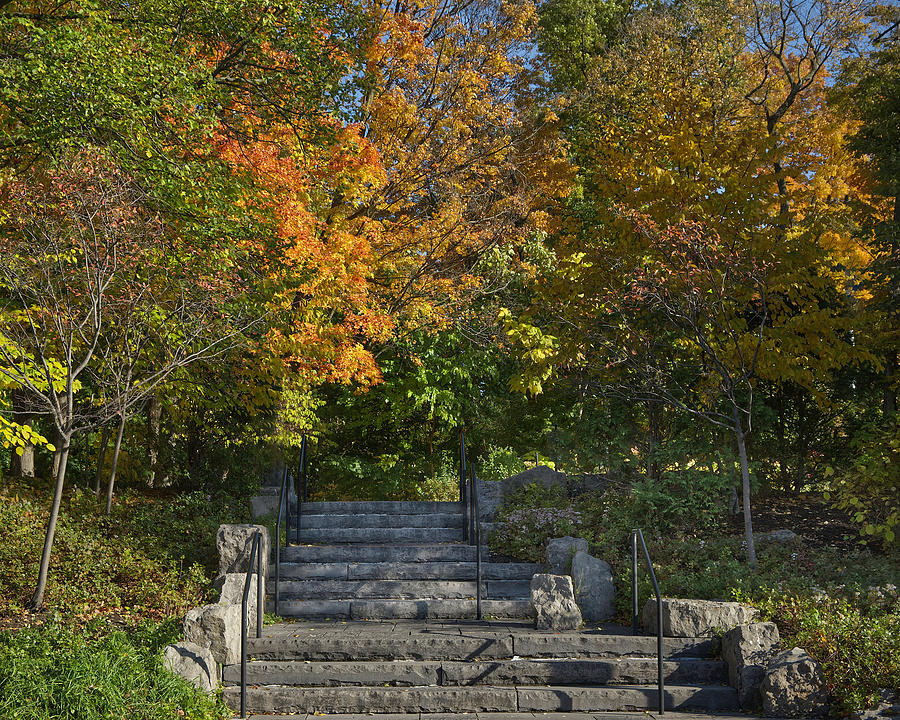 Stairway to Autumn Photograph by Deborah Ritch