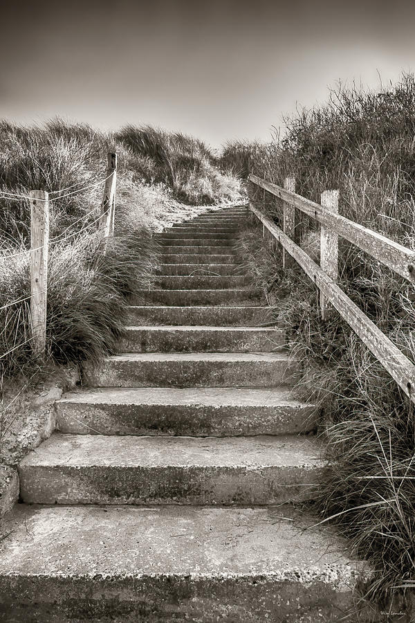 Stairway to Beach Photograph by Wim Lanclus