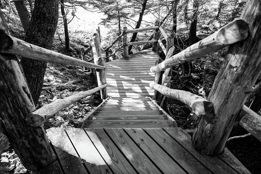 Stairway to Little Hunters Beach Photograph by Rose Guinther