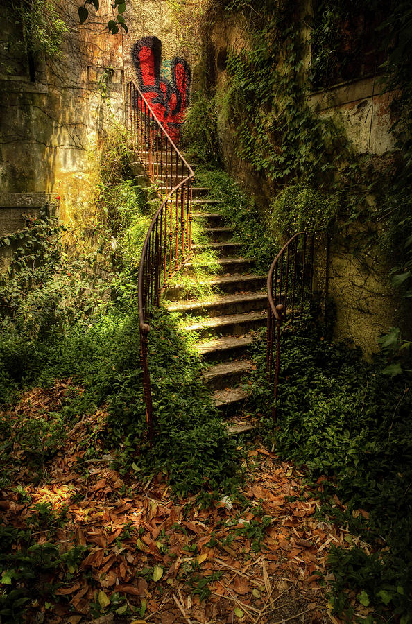 Stairway to nowhere Photograph by Micah Offman