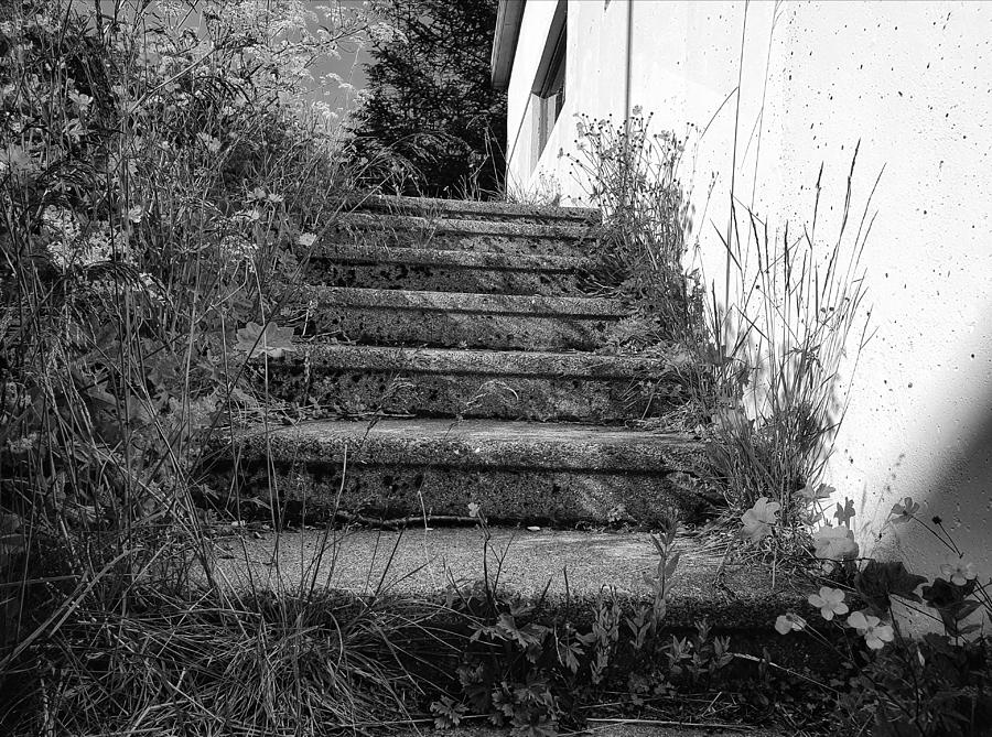Stairway To Somewhere Photograph