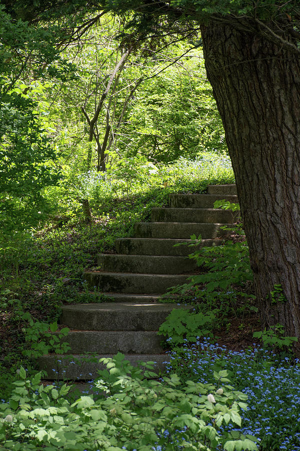 Stairway to Somewhere Photograph by Tom Crook Stairway to Somewhere Photograph by Tom Crook