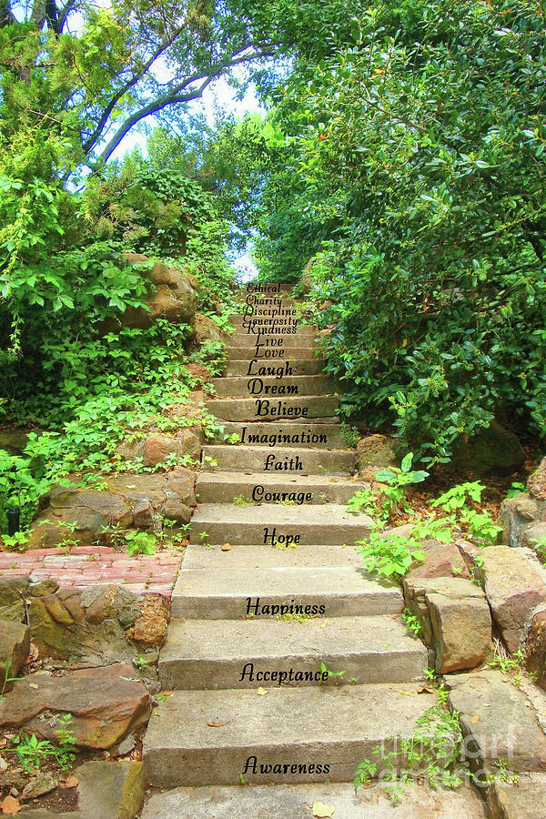 Stairway to Success Photograph by Janette Boyd