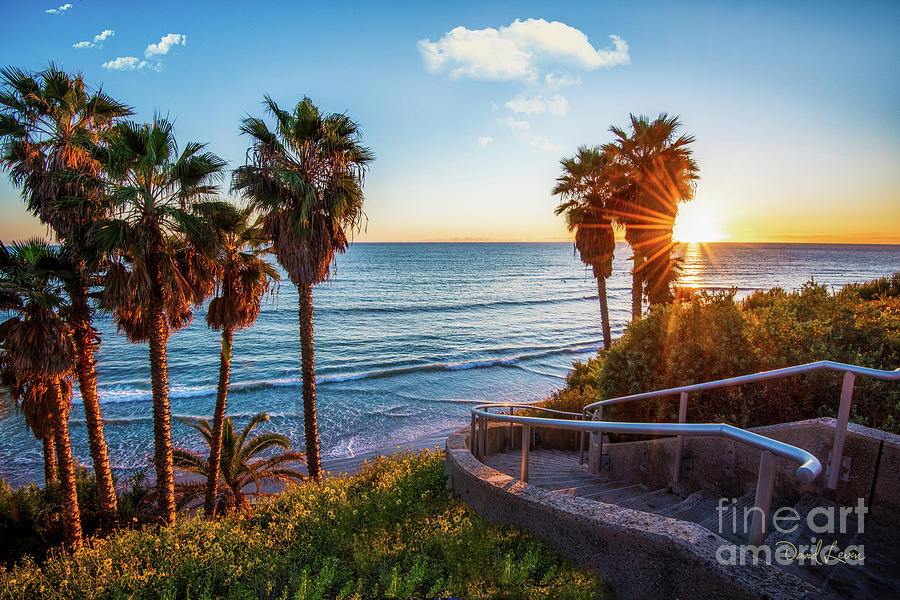 Stairway to Swamis Beach Photograph by David Levin