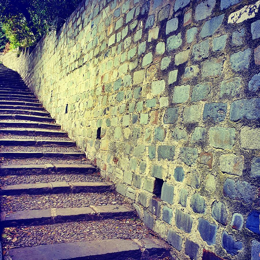 Stairway to the Castle Photograph by Andrea Whitaker