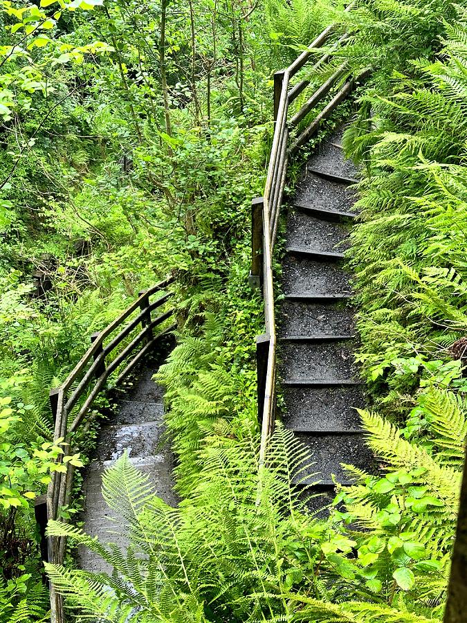 Stairway to Glenariff River Falls Photograph by Charles Kraus