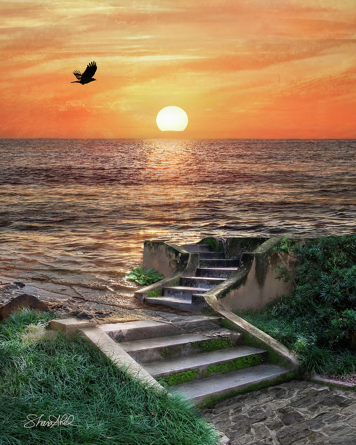 Stairway to the Sea Photograph by Shara Abel