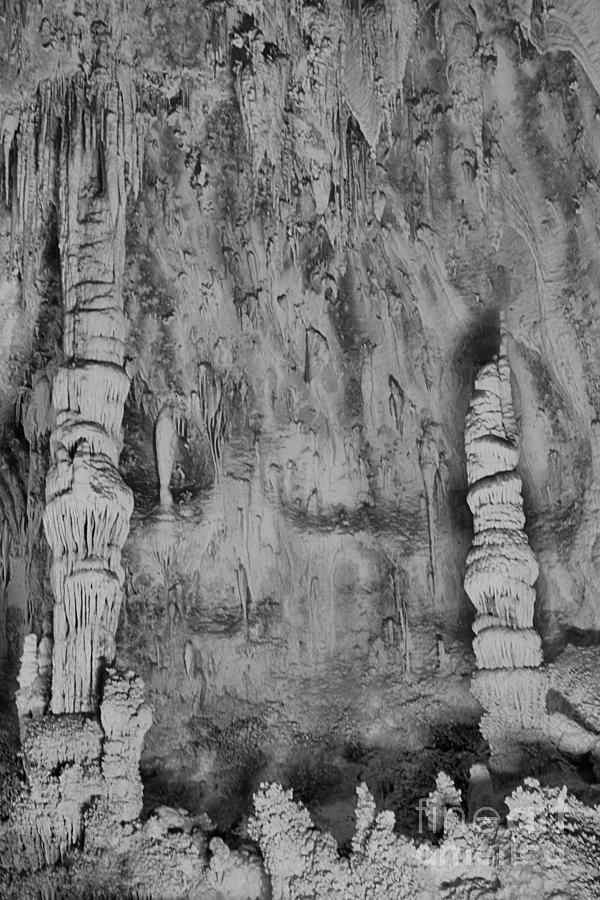 Stalactites At Carlsbad Caverns Portrait Black And White Photograph by Adam Jewell