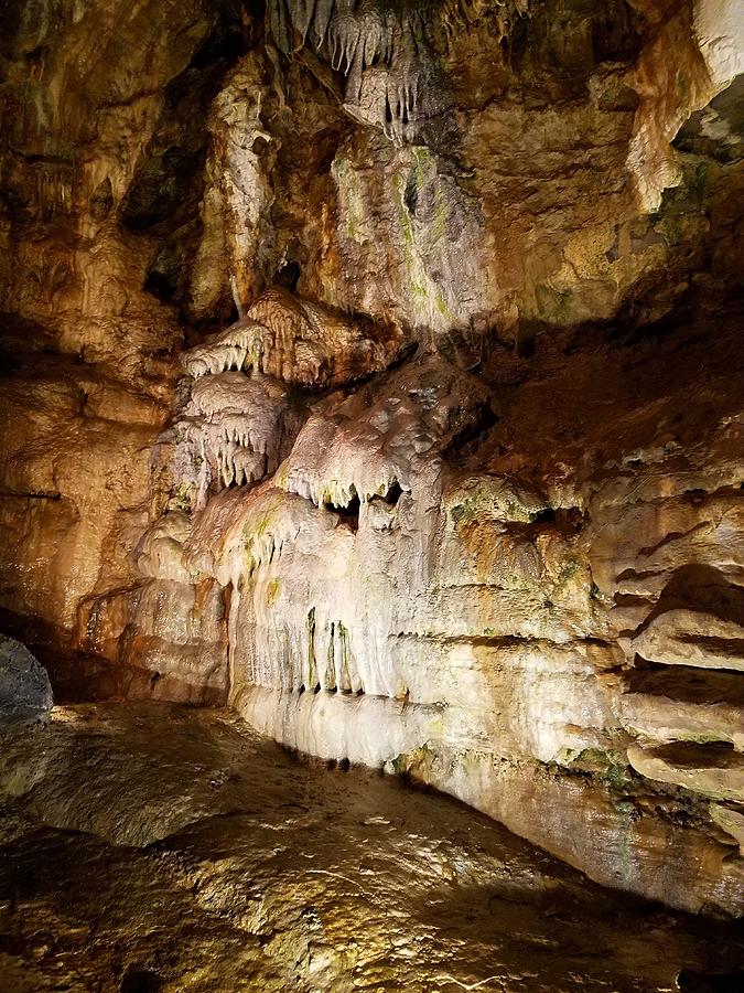 Stalagmites in Howe Caverns Photograph by Ariel Riley - Fine Art America