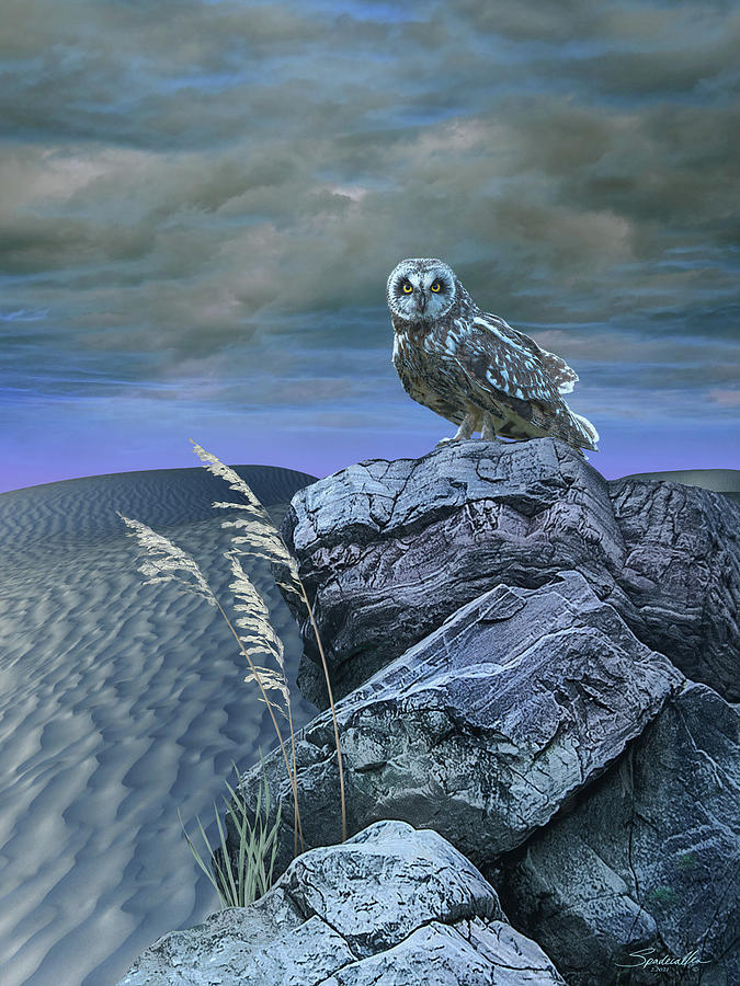 Stalking Owl Digital Art by M Spadecaller