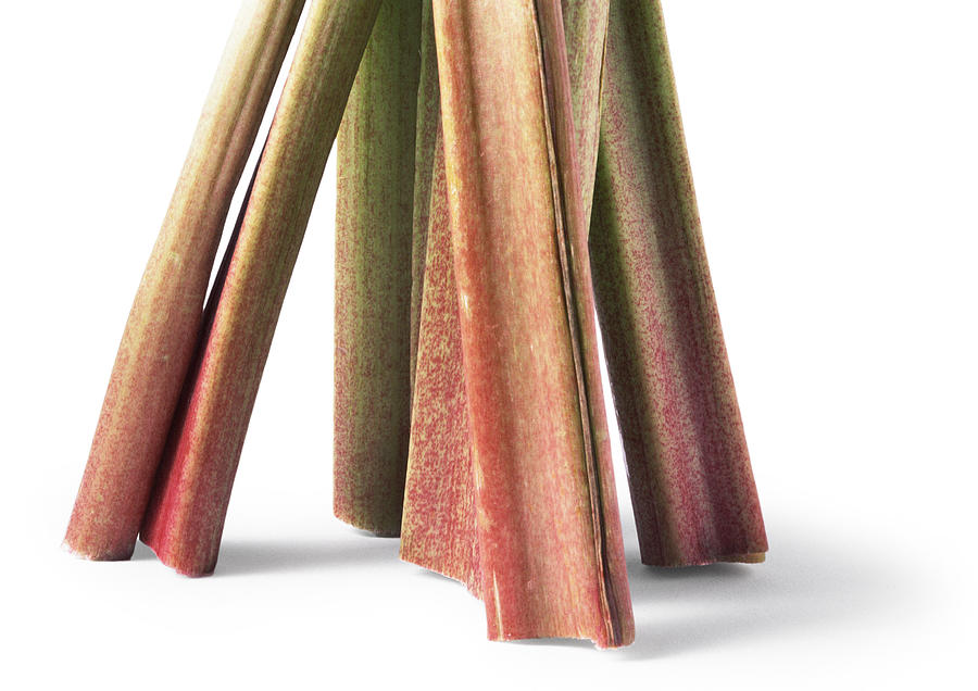 Stalks of rhubarb, cropped, white background Photograph by Isabelle Rozenbaum