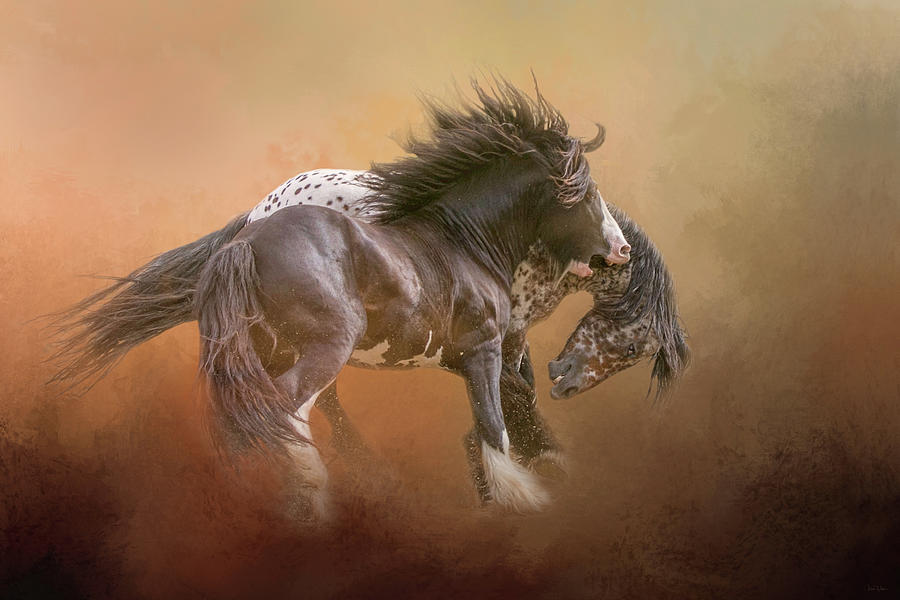 Stallion Play Digital Art by Nicole Wilde