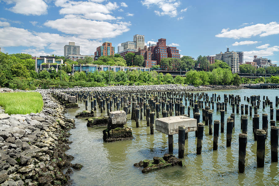 Stalwart Pilings at Low Tide Photograph by Cate Franklyn
