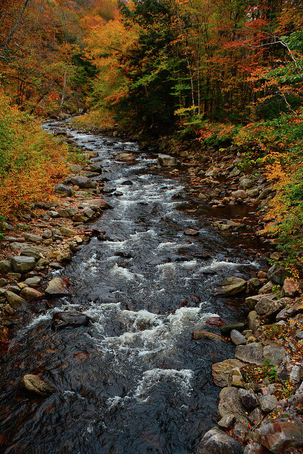 Stamford Stream Right After Rt 9 Vertical Photograph by Raymond Salani III