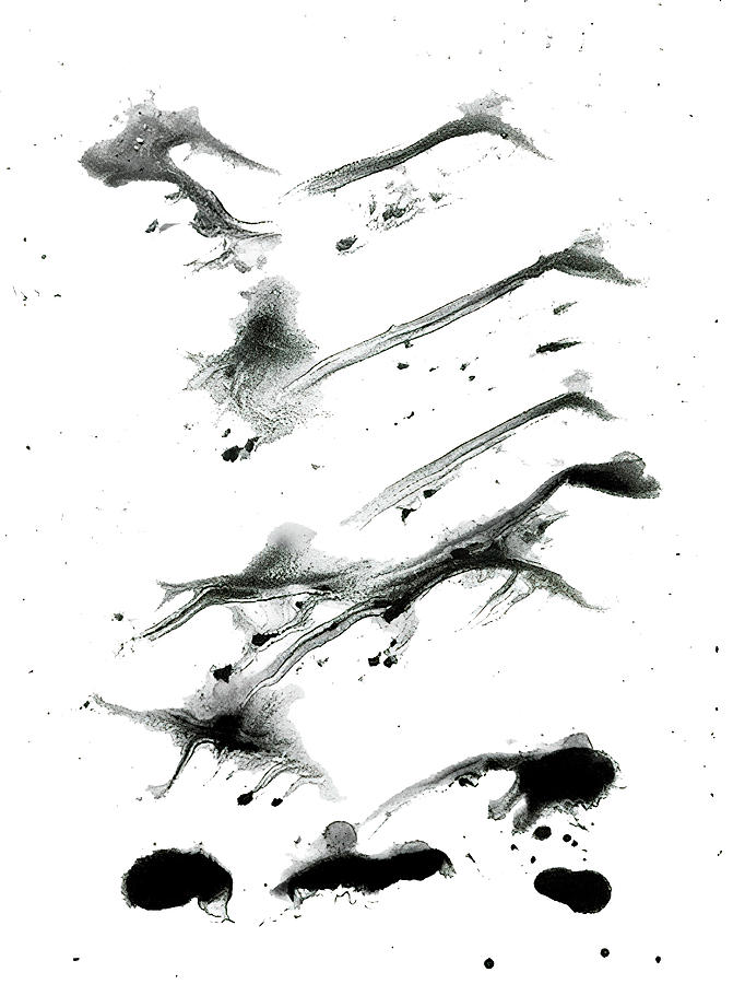 Stampede Abstract In Black And White Painting by Deborah League