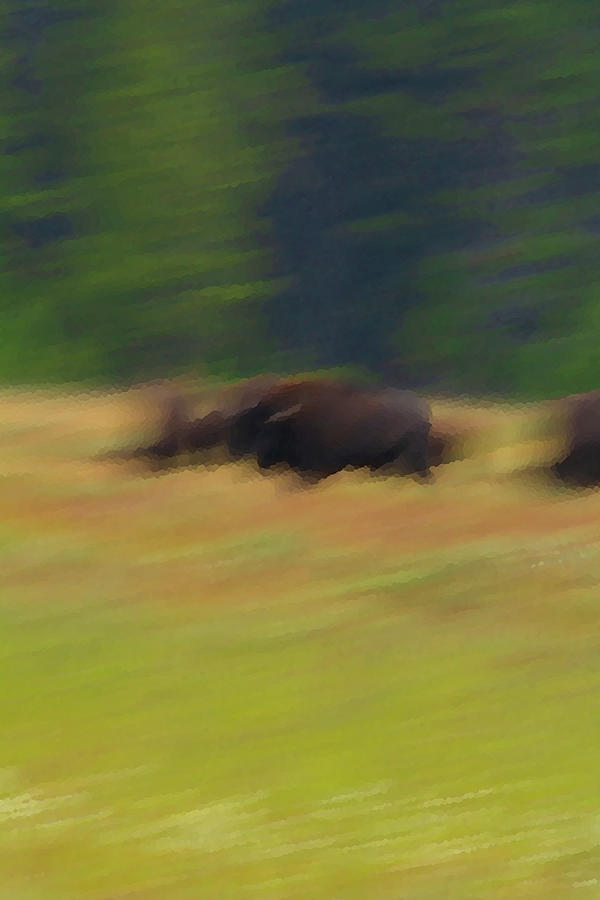 Abstract Photograph - Stampede by Howard Robinson Abstract Photograph - Stampede by Howard Robinson