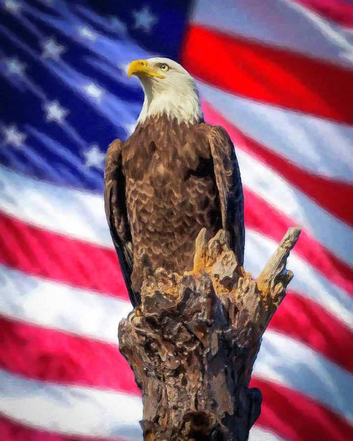 Stand Proud America- painted effect Photograph by Joe Myeress