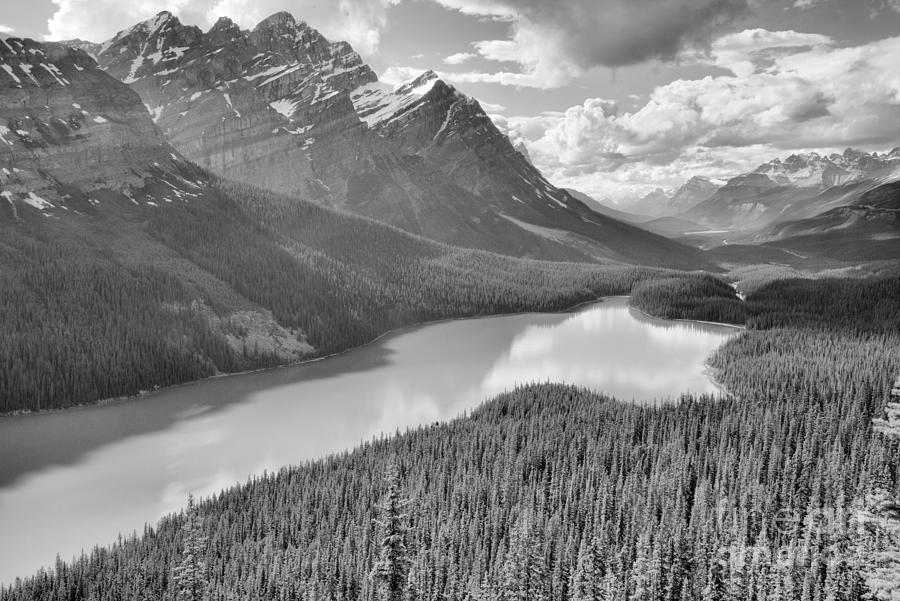 Standard Peyto Lake Summer view Black And White Photograph by Adam Jewell