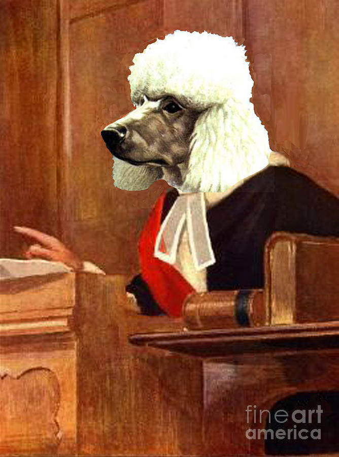 Standard poodle dog as a robed English Judge. Mixed Media by Michael ...