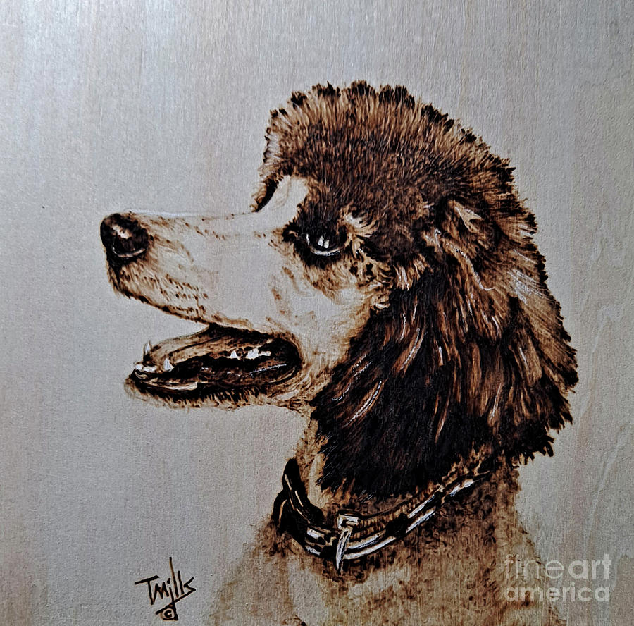 Standard Puppy Pyrography by Terri Mills
