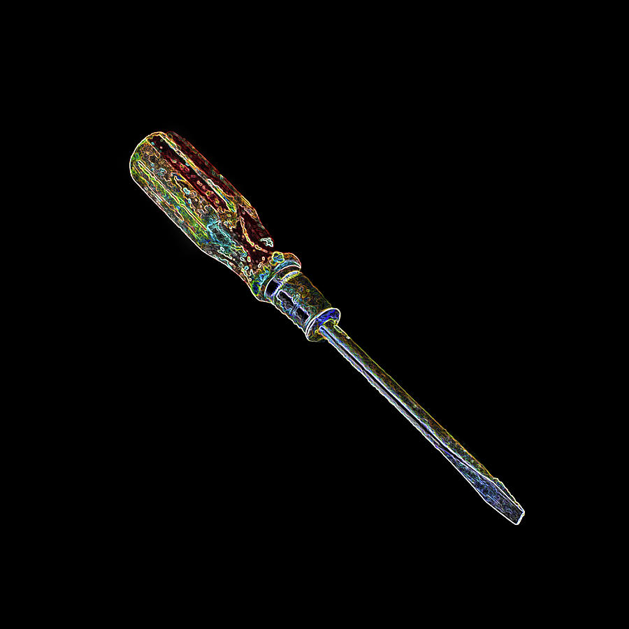 Standard Screwdriver  Photograph by Ira Marcus