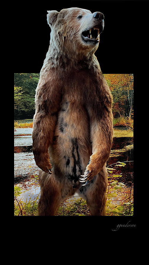 Standing Bear Photograph by Gary Gunderson