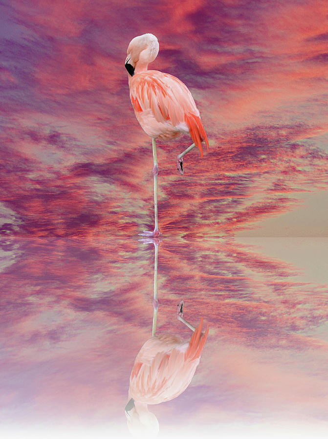 Standing Flamingo Reflection in Clouds Digital Art by Gaby Ethington
