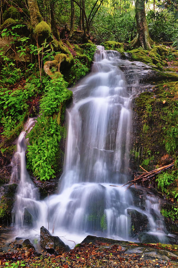 Standing In Motion - Smoky Mountain Waterfall 011 Photograph by George Bostian