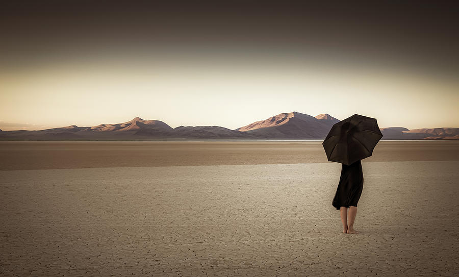 Standing in Solitude Photograph by Don Schwartz