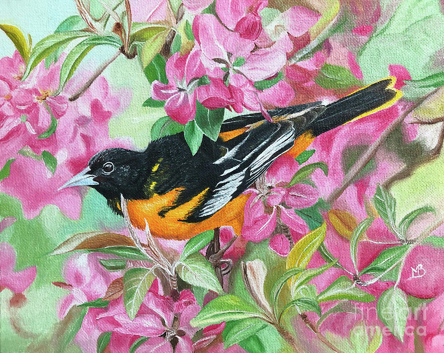 Oriole Painting - Standing Out by Wildlife and Nature