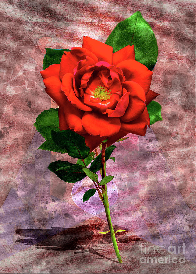 Standing Rose Digital Art by Anthony Ellis