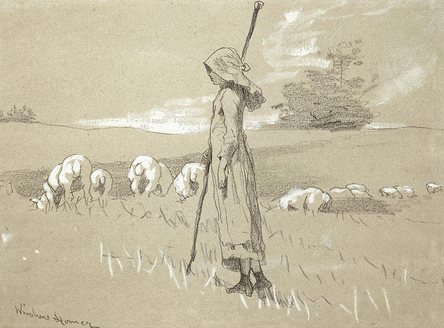 Standing Shepherdess with her Flock  Drawing by Winslow Homer