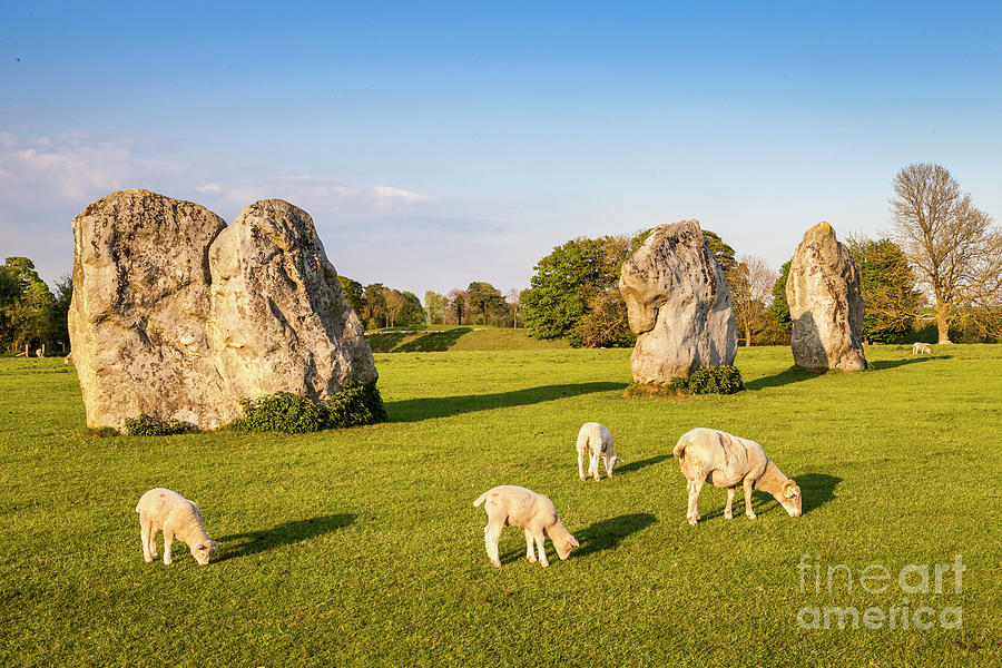 Standing Stones and Sheep Avebury Photograph by Colin and Linda McKie