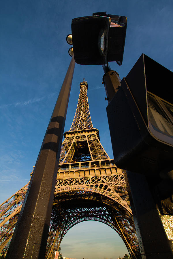 Standing Tall in Paris Photograph by Dan Hartford