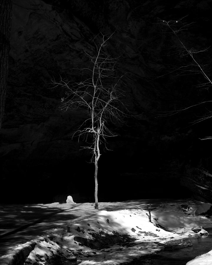 Stands Alone Photograph by John Beckman Fine Art America