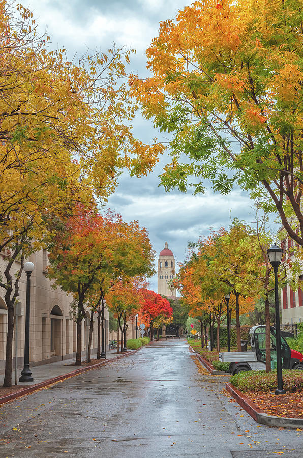 Stanford In Autumnal Rain 2 Photograph by Jonathan Nguyen Stanford In Autumnal Rain 2 Photograph by Jonathan Nguyen