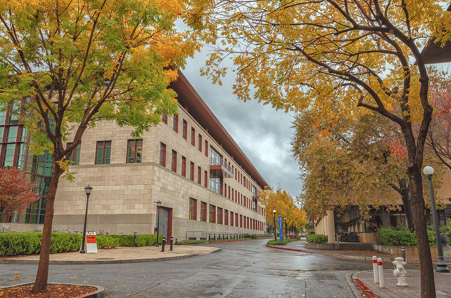 Stanford In Autumnal Rain  Photograph by Jonathan Nguyen